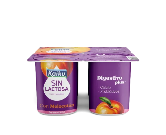 Kaiku Sin Lactosa jogurt gaingabetua mertxikarekin